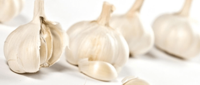 Knoblauch für Macht
